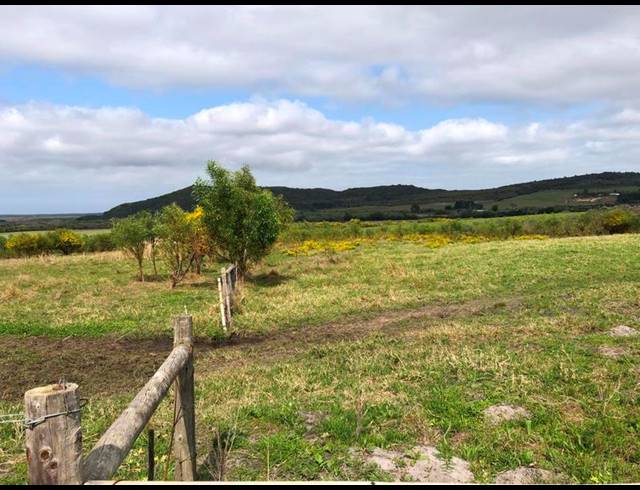FARM FOR SALE IN GANSBAAI RURAL